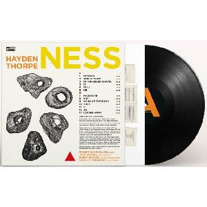 Hayden Thorpe - Ness (Black Biovinyl Coloured) (LP) (0887828051618)