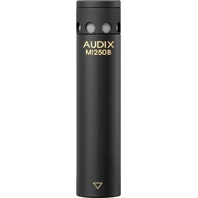 AUDIX MICROPOD-12