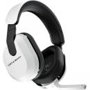 Turtle Beach Stealth 600XB Gen3 (TBS-2102)