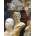 Imagining Sculpture | Stanley Abe