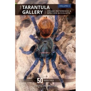 The Tarantula Gallery: Image Reference & Species Accounts