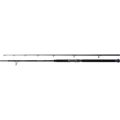Shimano Beastmaster AX Catfish Spinning Versatile 2,3 m 200 g 2 díly