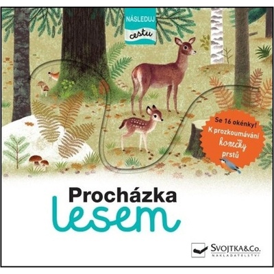 Procházka lesem - následuj cestu