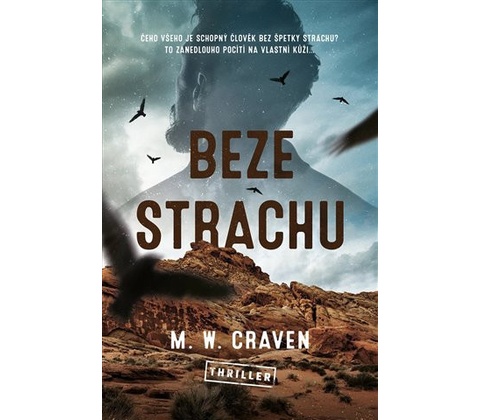 Beze strachu - M. W. Craven