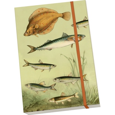 Notýsek Nordic Fishes