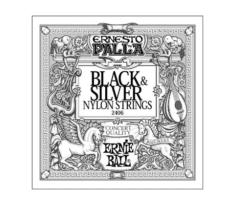Ernie Ball 2406
