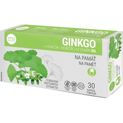 Fyto Ginkgo + Horčík na pamäť 30 kapsúl