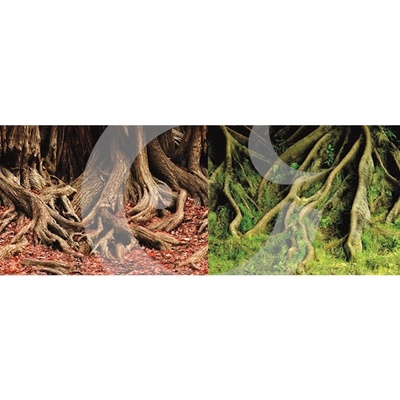 Macenauer fototapeta 1xL 150 x 60 cm – Hledejceny.cz