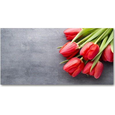Foto obraz fotografie na skle červené tulipány 100x50 cm