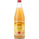 Moštárna Hostětín Mošt jablečný se zázvorem Bio 750ml