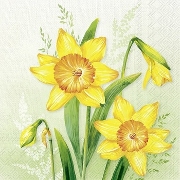 IHR Servítky veľké Narcis 33x33cm