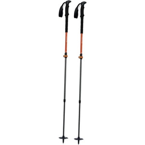 Pinguin Shock FL / TL Foam orange/gray (812121)
