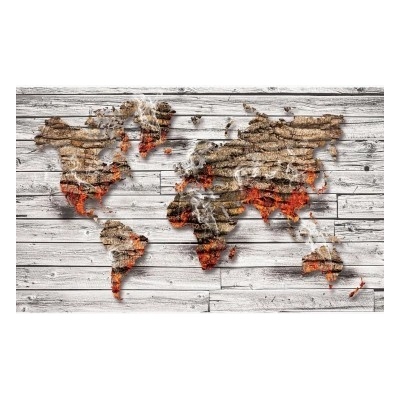 FT7683 Samolepiaca textilní fototapeta Mapa sveta z kôry stromu, rozmery 254cm x 184cm
