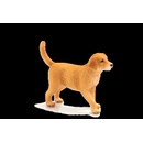 Animal Planet Kapybara