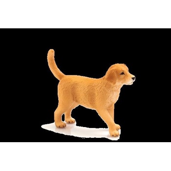 Animal Planet Kapybara