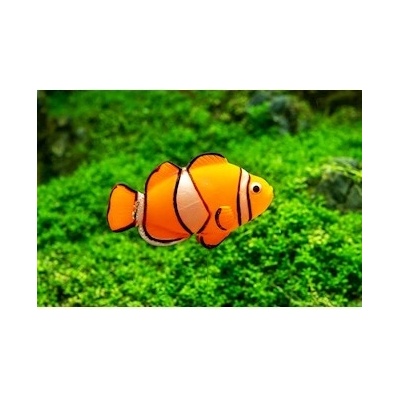 Macenauer Clown Fish 9,7x14x2,5 cm