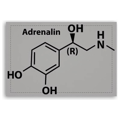 Fotoobraz 90x60 cm střední Adrenalin