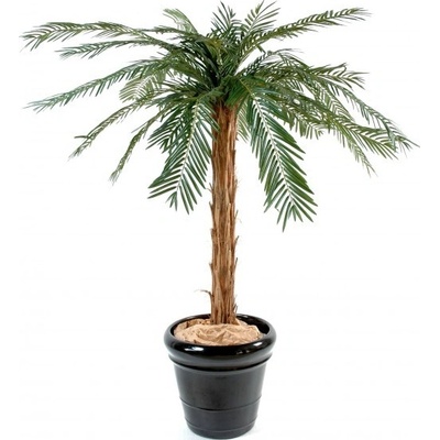 Umělá palma Cycas 30 větví, 170cm