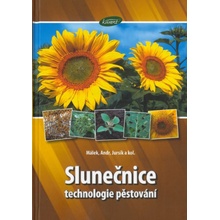 Slunečnice - technologie pěstování