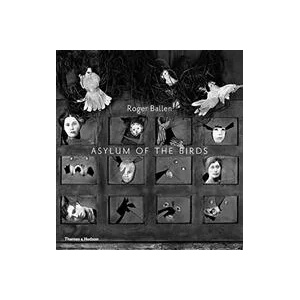 Asylum of the Birds (ISBN: 9780500294864)