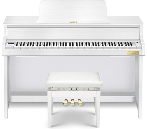 Casio GP-310
