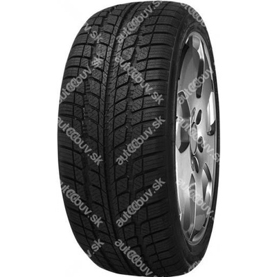 Minerva S310 195/65 R14 89T
