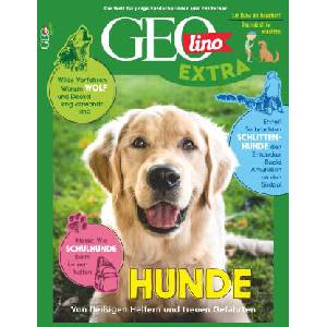 GEOlino extra 104/2024 - Hunde | Juliane van Treeck (ISBN: 9783652014991)