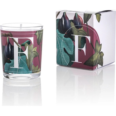 Pernici Elementi Fig Leaves & Ivy 70 g