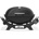 Weber Q2100N