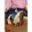 Schleich Horse Club Sofias Beauties Leo & Rocky Starter Set