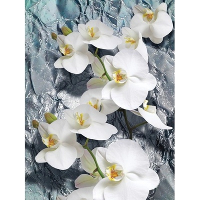 Preinterier Fototapeta panel - PL0243 - Biele kvety na kamennom pozadí vlies - 206cm x 275cm