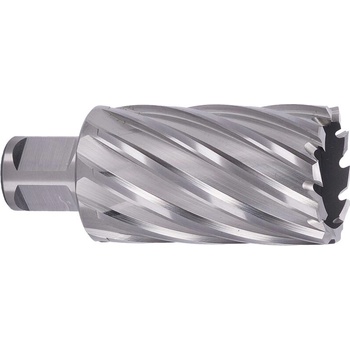 ABSE N-HS-W19-0310050
