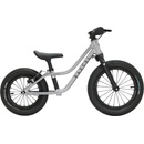 Rascal Punk Titanium