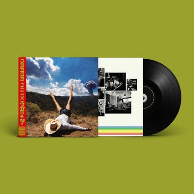 Geese - 3d Country LP