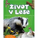 Život v lese
