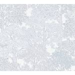 A. S. Création Влизелинов тапет за стена ap floral impression 37753-6