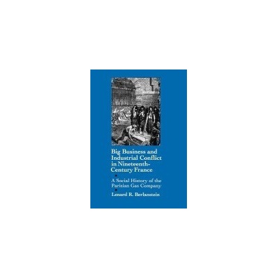 Big Business and Industrial Conflict in Nineteenth-Century France - Berlanstein, Lenard R.