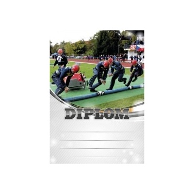 Diplom 6675