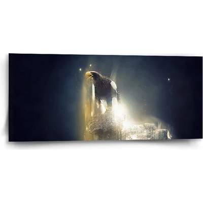 Sablio Obraz Orol - 110x50 cm