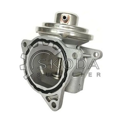 Ventil zpětného vedení zplodin BORGWARNER-WAHLER 7496D | Zboží Auto