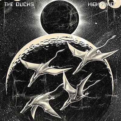 Ducks - High Flyin LP