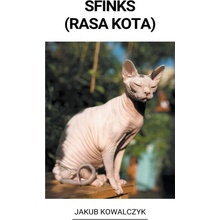 Sfinks Rasa Kota