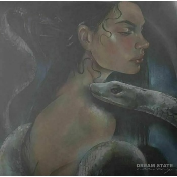 Image 1 of Dream State - Recovery (Translucent Blue Coloured) (LP) (8785260875361)