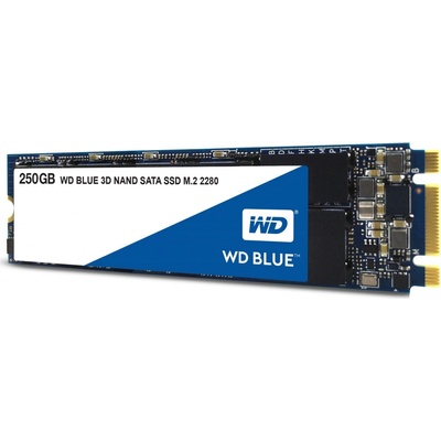 WD Blue 250GB, WDS250G2B0B