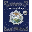 Wizardology - Dugald Steer