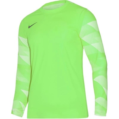 Nike Dry Park IV M CJ6066 702