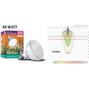 Arcadia UV Basking Lamp 80 W