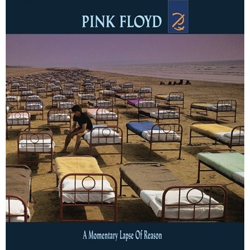 Pink Floyd - A Momentary Lapse of Reason (Reissue) (CD) (0888751709621)