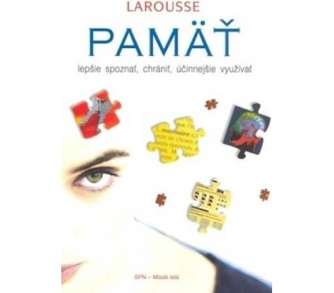 Pamäť