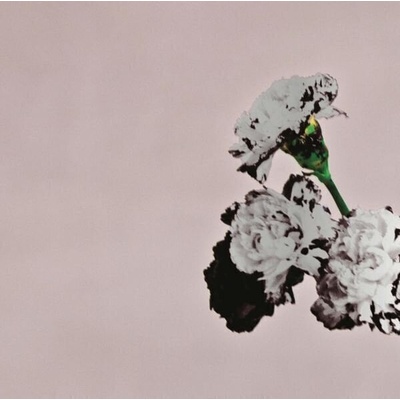 John Legend - Love In the Future (Special Edition) (CD) (0888750345226)